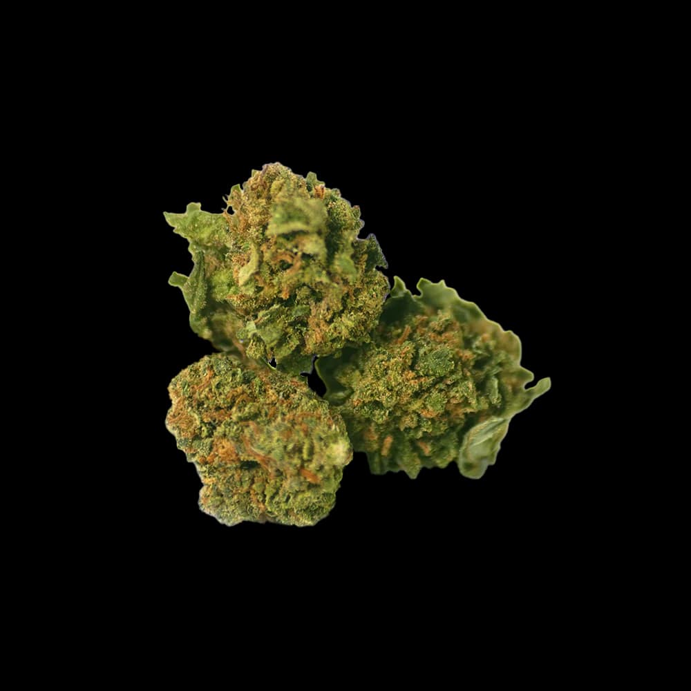 Cannapunch Organique — Baby Buds CBD